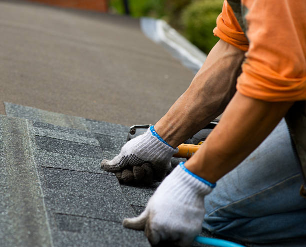 Best Shingle Roofing Installation  in Bristol, WI
